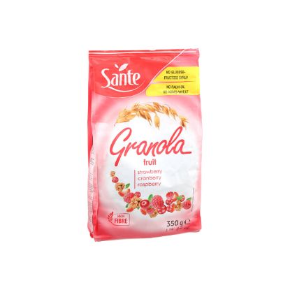 Picture of Sante Whole Grain Granola Fruit Crispy Cereal Flakes 350gm