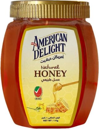 Picture of American Delight Honey Natural 1kg