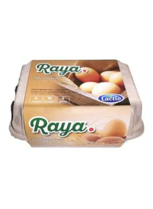 Picture of Lactio Eggs Raya Free Range 6'S