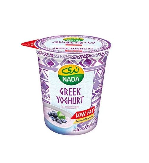 Picture of Nada Greek Blueberry Yoghurt 360gm