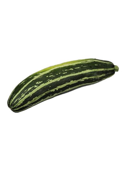 Picture of Emirates Bio Farm Organic Green Long Zucchini 500gm