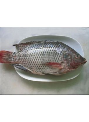 Picture of Oshenz Frozen Tilapia Cleaned Medium Super Save 1kg