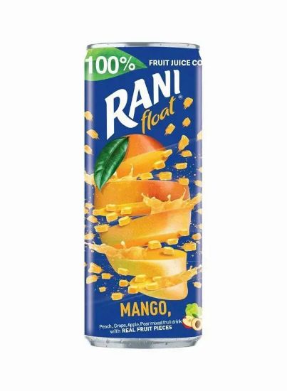 Picture of Rani Float Fruit Juice Mango With Real Fruitpc 240ml