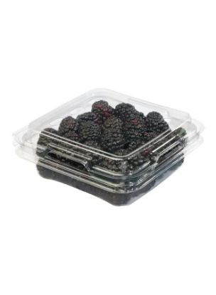 Picture of Blackberry Clamshell Mexico 170Gm