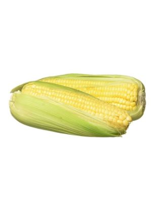 Picture of Organic Sweet Corn 1pc