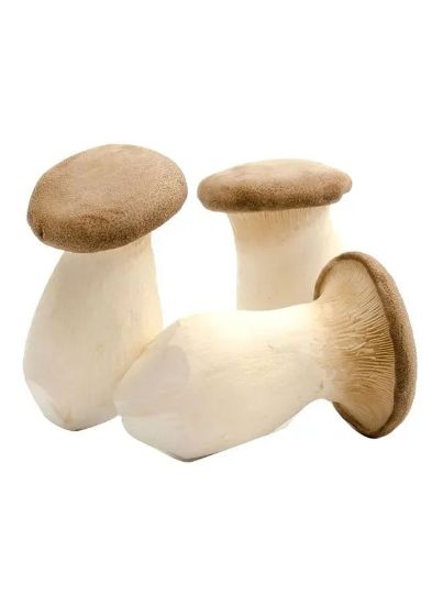 Picture of Mushroom King Oyster China 250gm