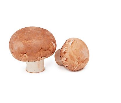 Picture of Mushroom Brown Holland 1 Piece