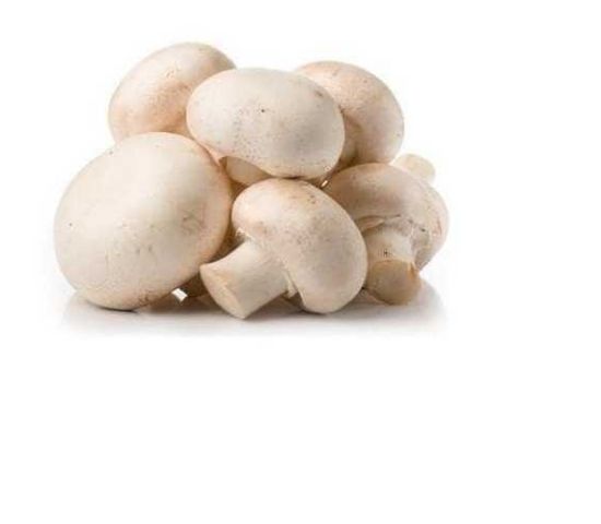 Picture of Mushroom Fine White Sliced Holland 150gm