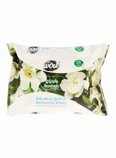 Picture of Wow Wipes Green Refreshing Gardenia Anti Bacterial 25Wipes