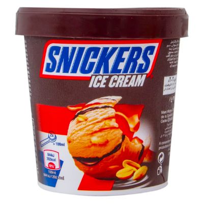 Picture of Snickers Ice Cream 450ml