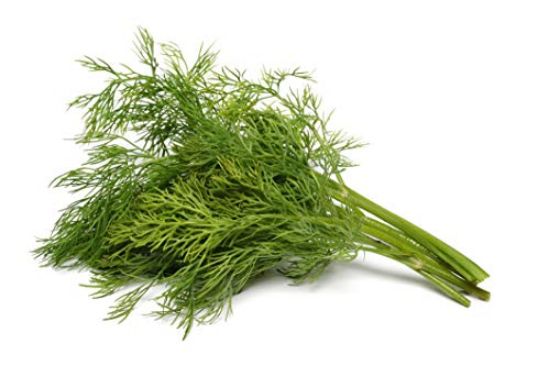 Picture of DILL KE 125GM