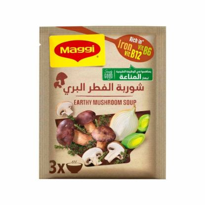 Picture of Maggi Soup Earthy Mushroom 53gm