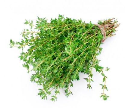 Picture of Thyme Holland 30gm