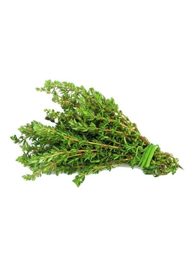 Picture of Thyme 1pc