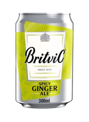 Picture of Britvic Ginger Ale Can 300ml