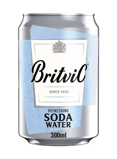 Picture of Britvic Refreshing Soda Water Can 300ml