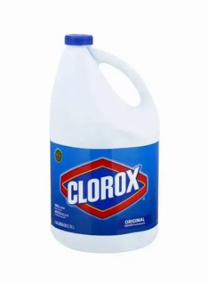 Picture of Clorox Bleach Regular 1GAL