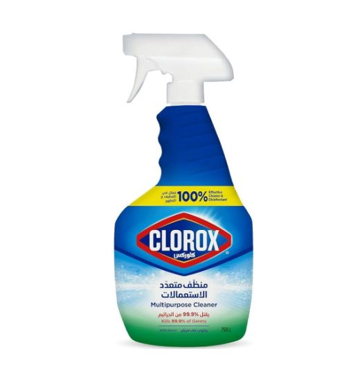 Picture of Clorox Multipurpose Spray Cleaner 750ml