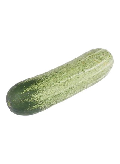 Picture of Emirates Bio Farm Organic Cucumber 500gm