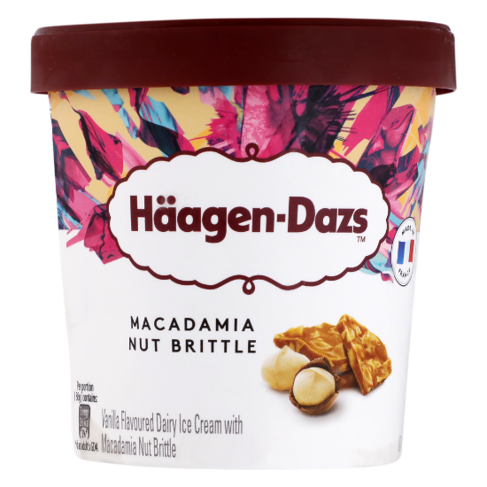 Picture of Haagen-Dazs Ice Cream Macadamia Nut Brittle 460ml