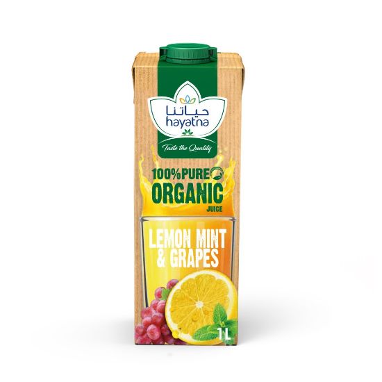 Picture of Hayatna Organic Juice Uht Lemon, Mint, And Grape 1ltr