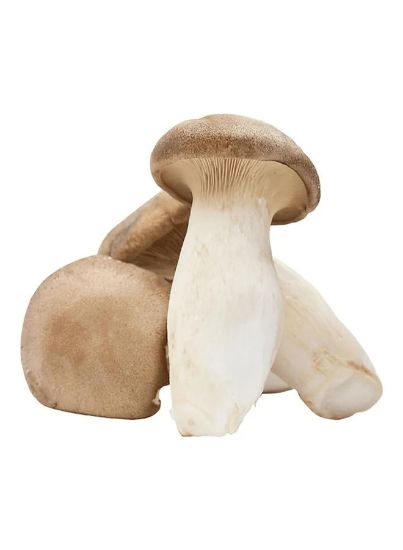 Picture of Mushroom King Oyster China 250gm