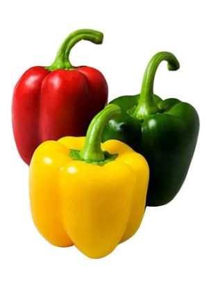 Picture of Organic Mix Capsicum 1pc